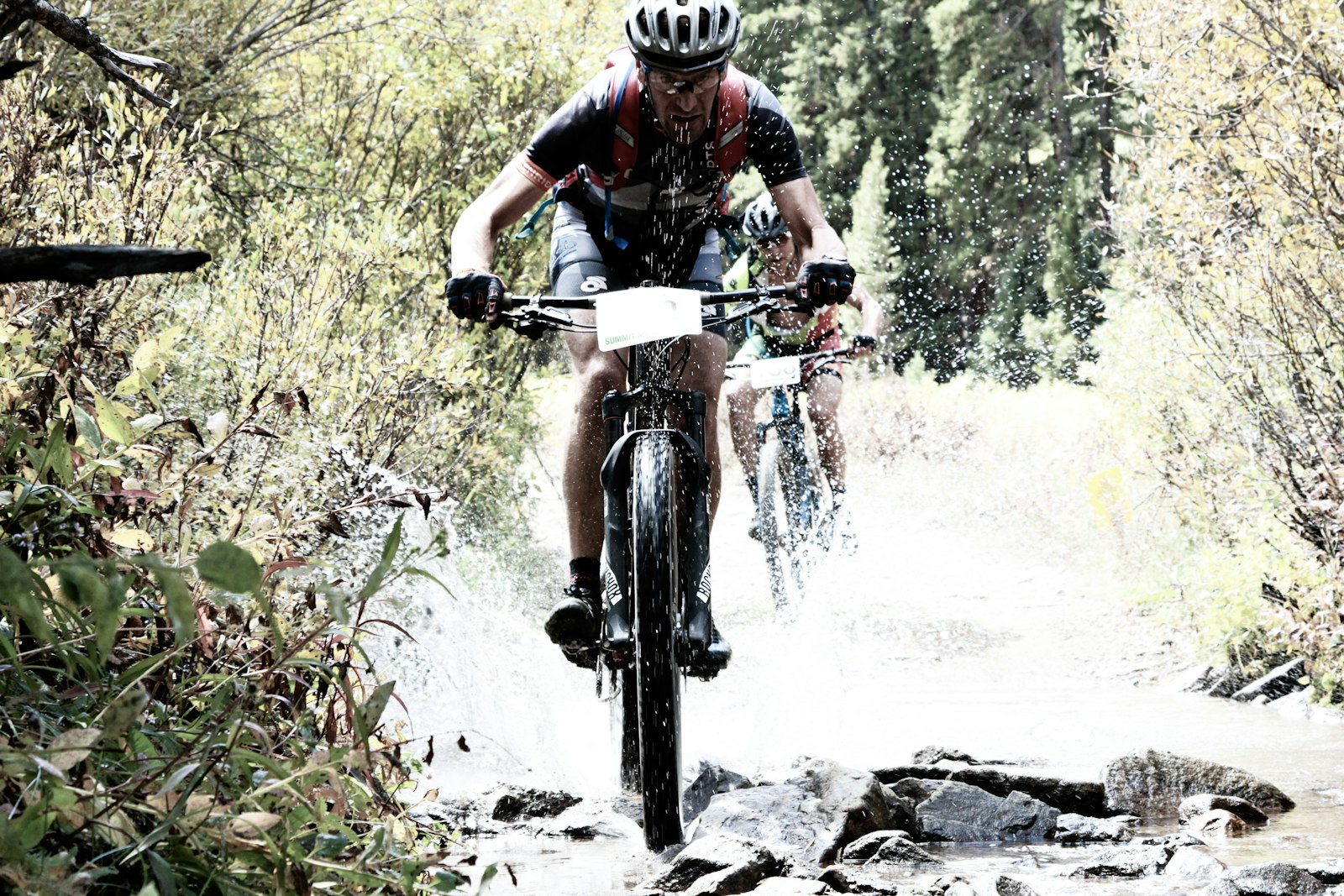 Back 40 Trails & Mountain Biking: The Airbnb Opportunity in Bella Vista