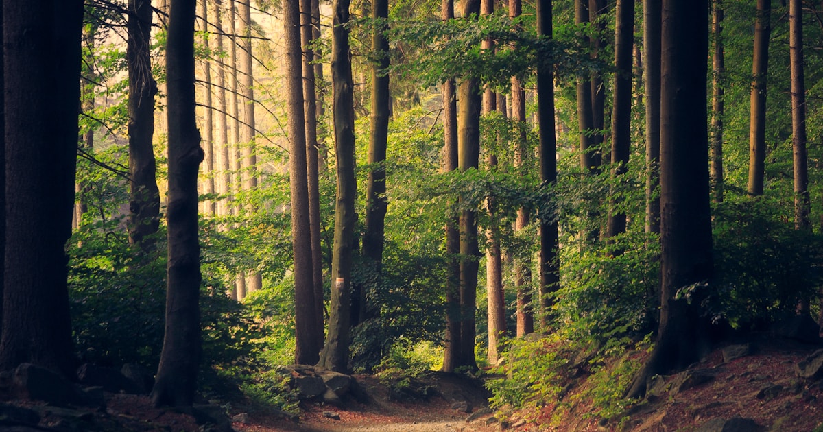 Why Northwest Arkansas is a Growing Vacation Rental Market